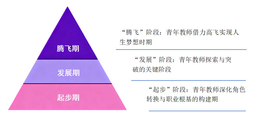 20260120-计算机系-供图-青年教师成长阶段性特点分析图.png